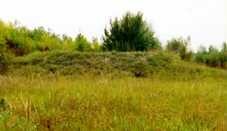 Im Nordosten des Flugfeldes existieren noch einige Reste von Splitterschutzwällen